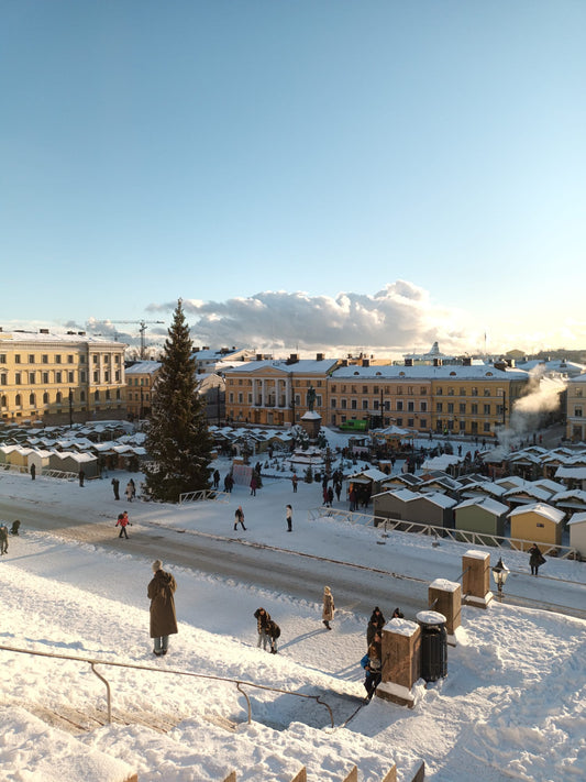 Suomen kielen kurssi ryhmä A (0-A1.1)